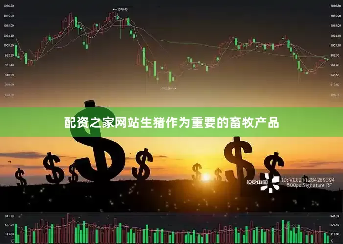 配资之家网站生猪作为重要的畜牧产品