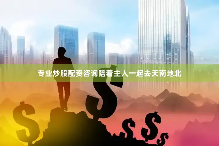 专业炒股配资咨询陪着主人一起去天南地北