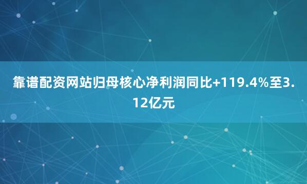 靠谱配资网站归母核心净利润同比+119.4%至3.12亿元