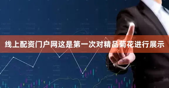 线上配资门户网这是第一次对精品菊花进行展示