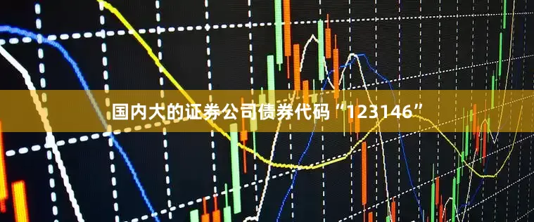 国内大的证券公司债券代码“123146”